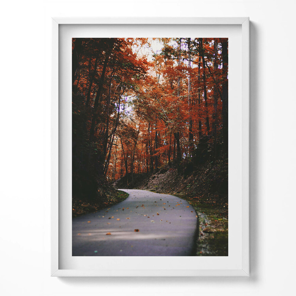 Obraz v rámu Prázdná cesta v podzimním lese