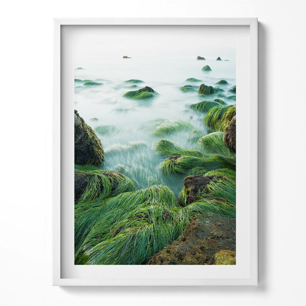 Obraz v rámu Tráva na břehu řeky