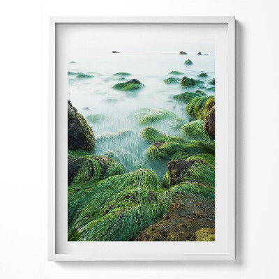 Obraz v rámu Tráva na břehu řeky