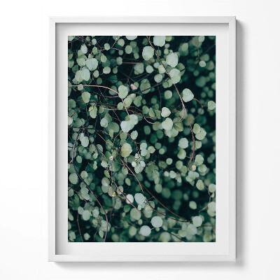 Obraz v rámu Drobné listy rostliny