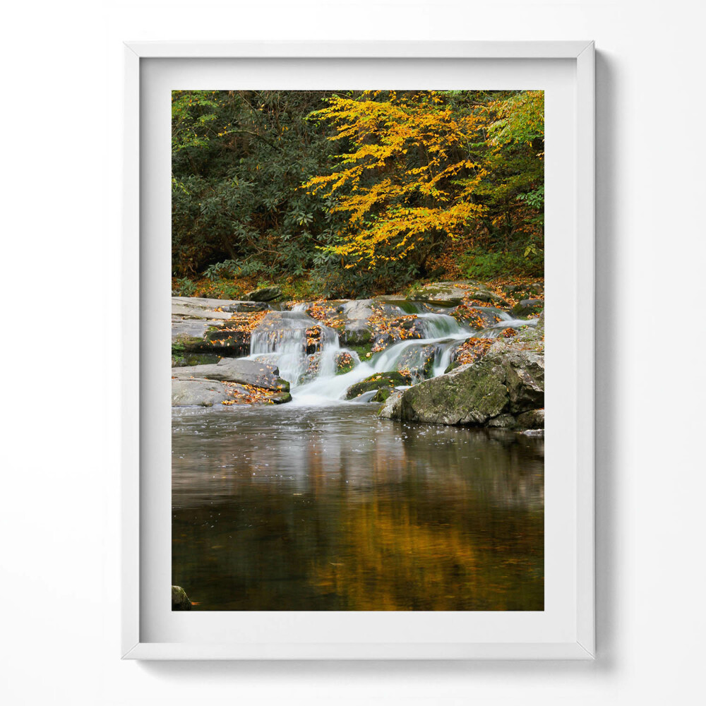 Obraz v rámu Zelená krajina lesního potoka