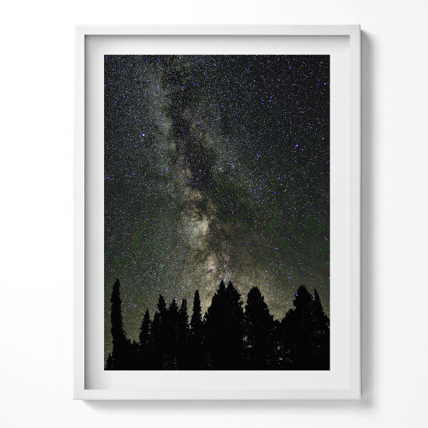 Obraz v rámu Hvězdná obloha nad lesem