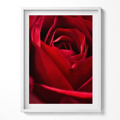 Obraz v rámu Detail červených růží