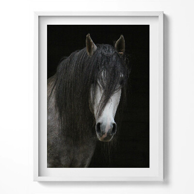 Obraz v rámu Hlava šedého oře