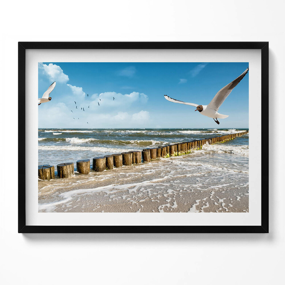 Obraz s rámem Pták u moře