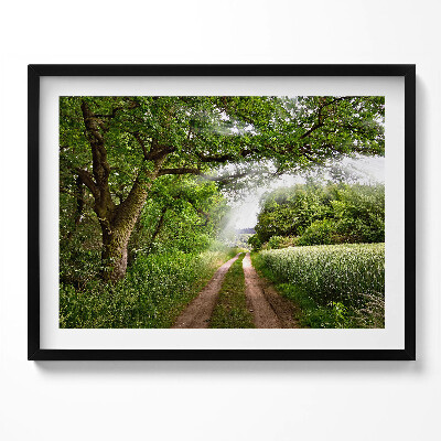 Obraz s rámem Cesta, stromy a sluneční paprsky