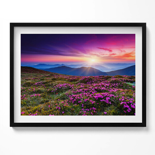 Obraz s rámem Východ slunce květiny