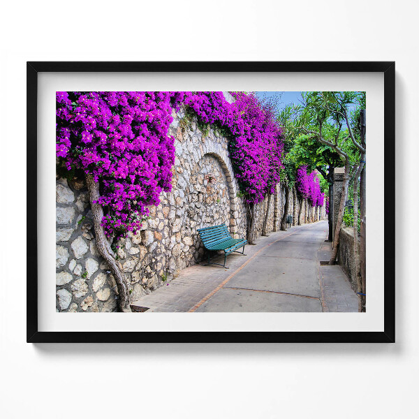 Obraz s rámem Cesta s květinami v Capri, Itálie