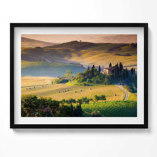 Obraz s rámem Útulná letní krajina polí