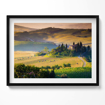 Obraz s rámem Útulná letní krajina polí