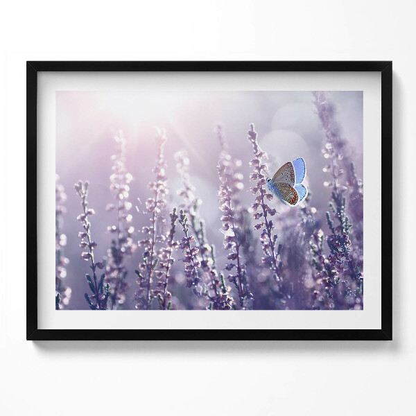 Obraz s rámem Motýl na divokých květinách