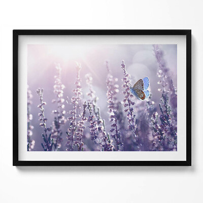 Obraz s rámem Motýl na divokých květinách