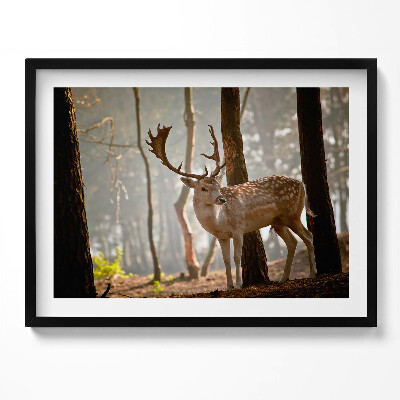 Obraz s rámem Jelen v záři vycházejícího slunce