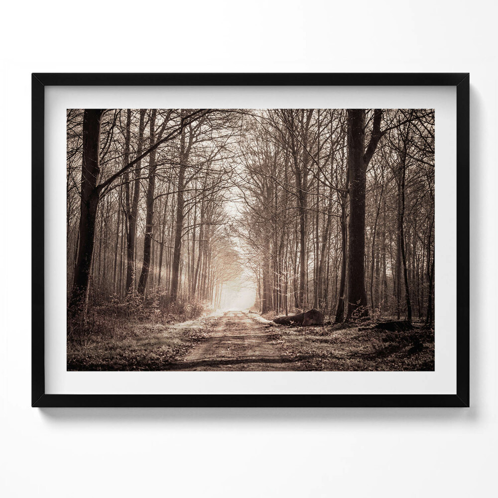 Obraz s rámem Lesní cesta v sépiových barvách