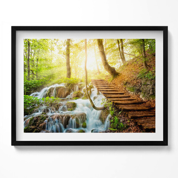 Obraz s rámem Potok a schody v lese