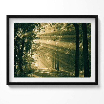 Obraz s rámem Sluneční paprsky v lese
