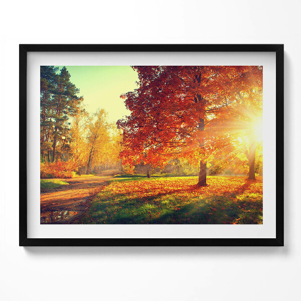 Obraz s rámem Podzimní park