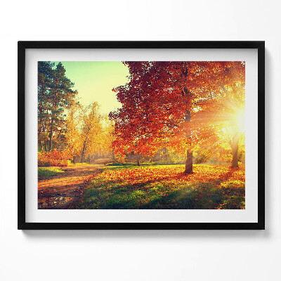 Obraz s rámem Podzimní park