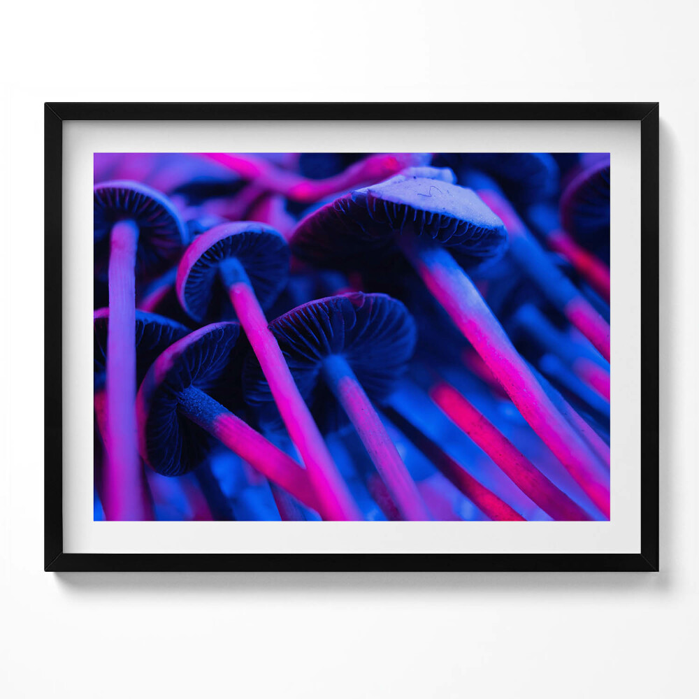 Obraz s rámem Kouzelné barevné houby