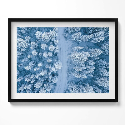 Obraz s rámem Les z ptačí perspektivy