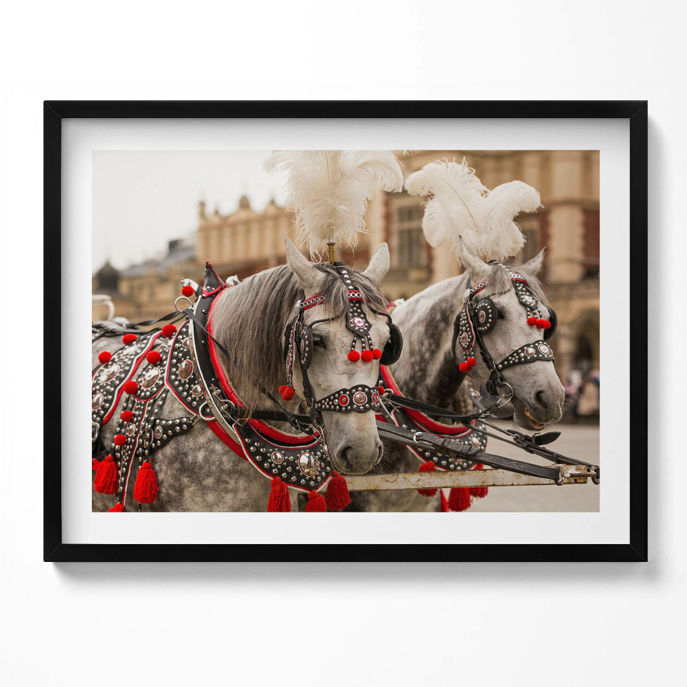 Obraz s rámem Krásní koně v Krakově