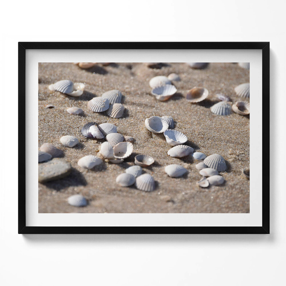 Obraz s rámem Mušle na pláži