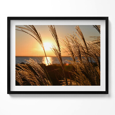 Obraz s rámem Pšenice ve Zlaté hodině