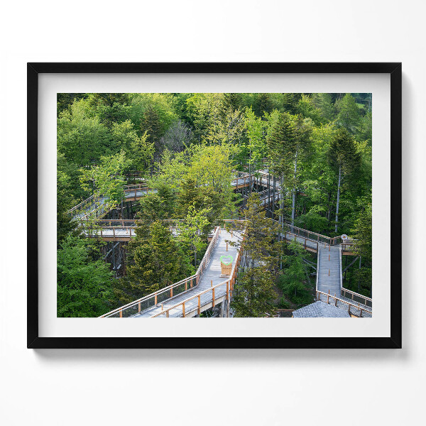 Obraz s rámem Stezka v Krynici Zdrój