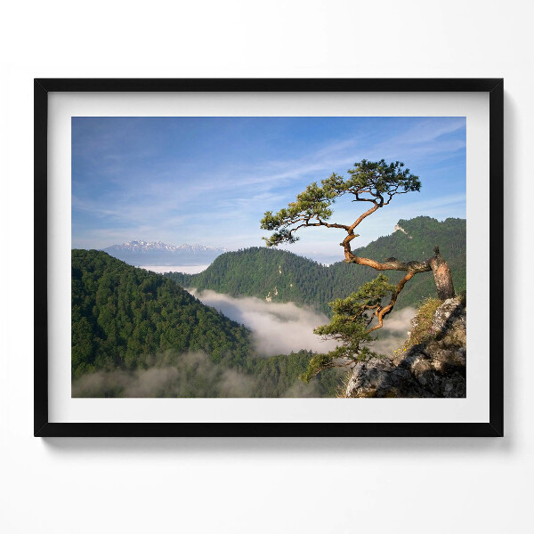 Obraz s rámem Sokolica Wierch v Pieninách