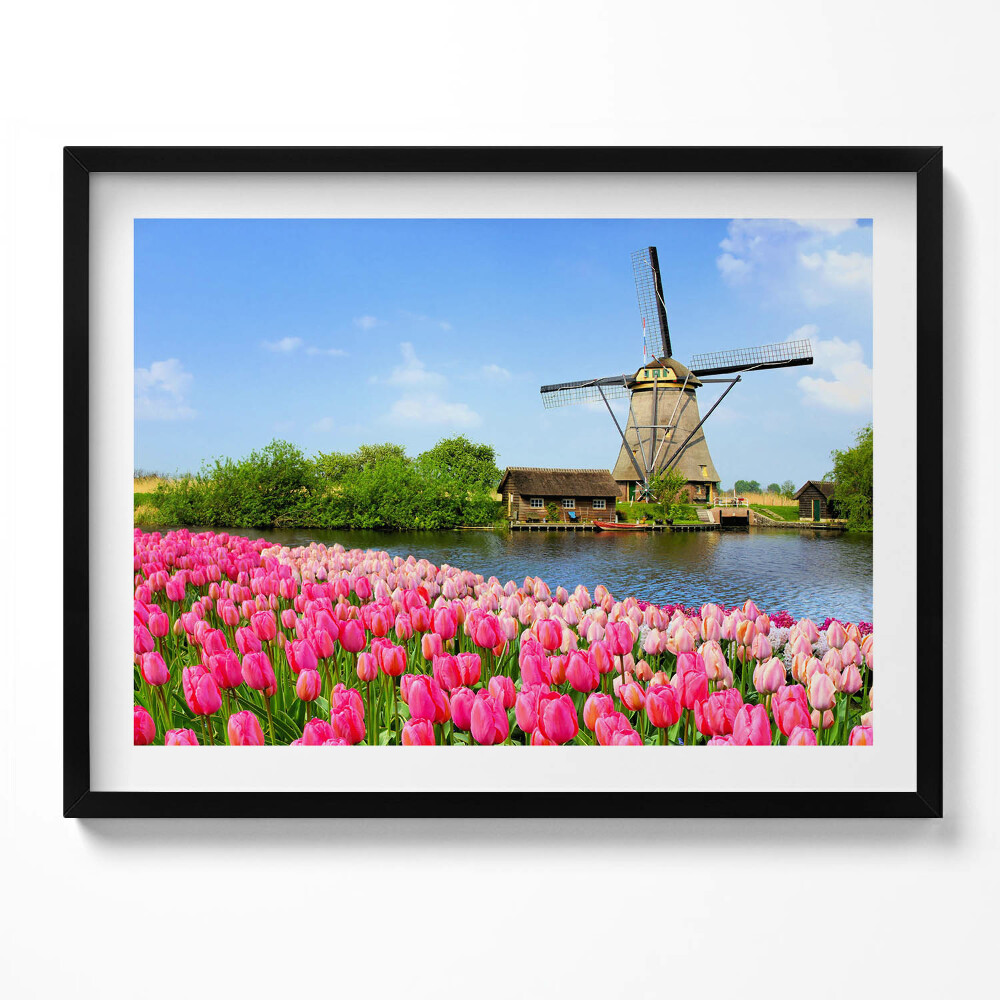 Obraz s rámem Holandský větrný mlýn s květinami