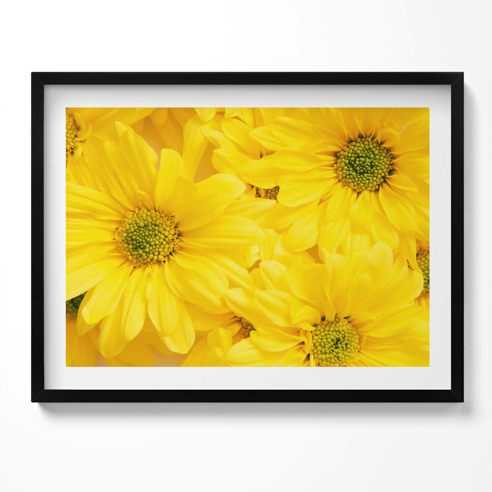 Obraz s rámem Okvětní lístky