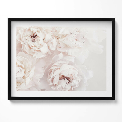 Obraz s rámem Pastelové pivoňky