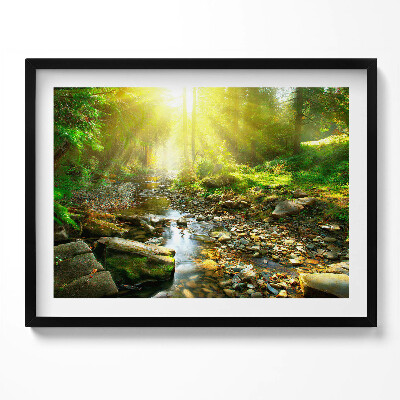 Obraz s rámem Lesní potok ve slunečním světle