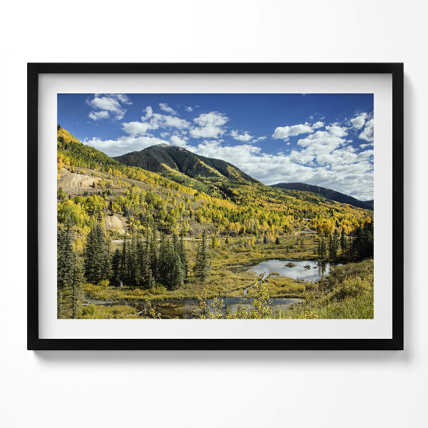 Obraz s rámem Krajina horské vegetace