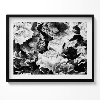 Obraz s rámem Černé a bílé květy pivoňky