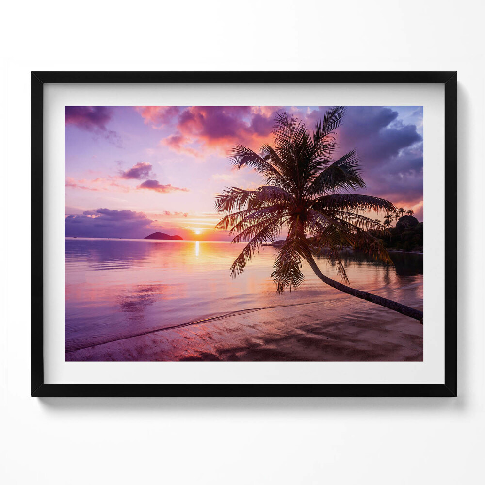 Obraz s rámem Palma na pláži při západu slunce