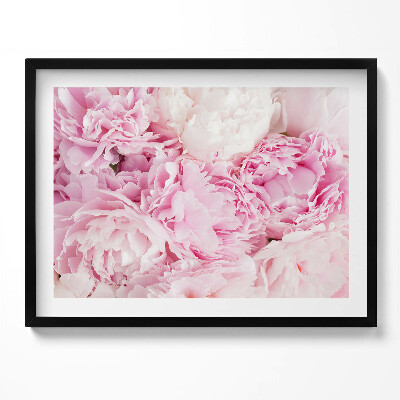 Obraz s rámem Jemné květy pivoňky