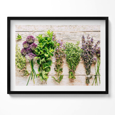 Obraz s rámem Rostliny a byliny na prknech