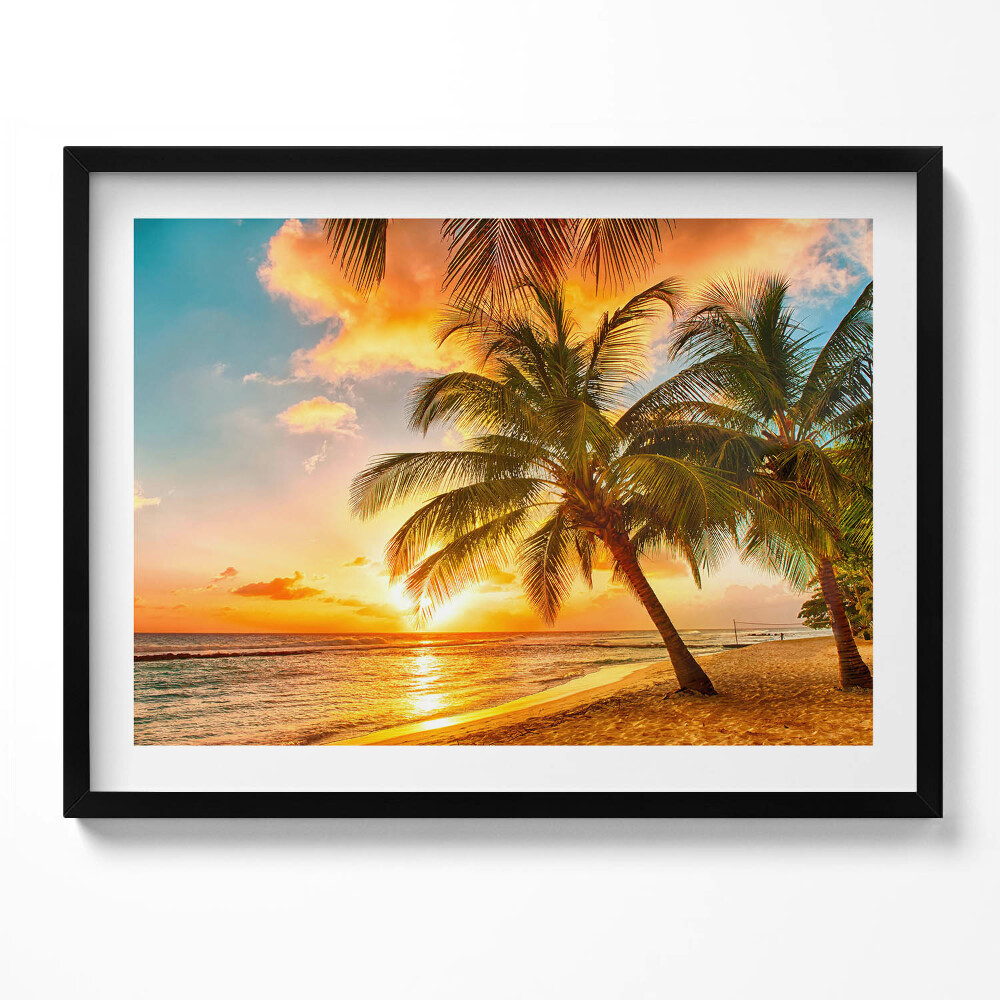 Obraz s rámem Palma na pláži při západu slunce