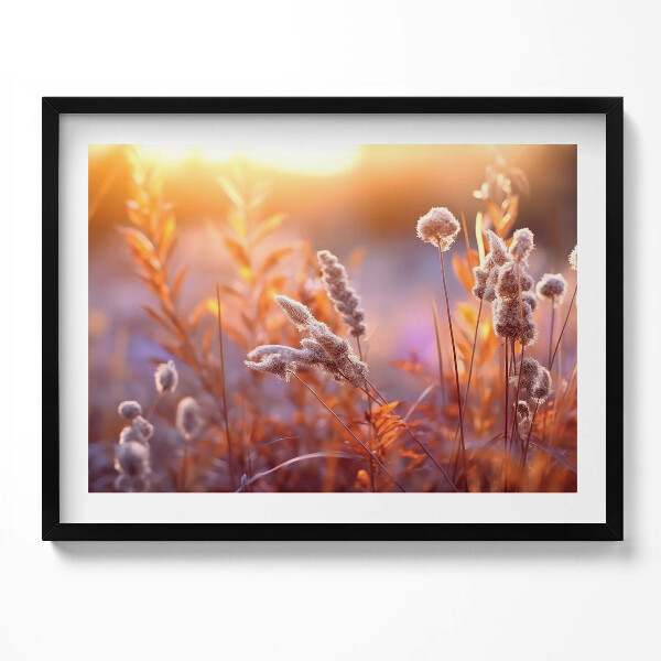 Obraz s rámem Boho tráva při východu slunce