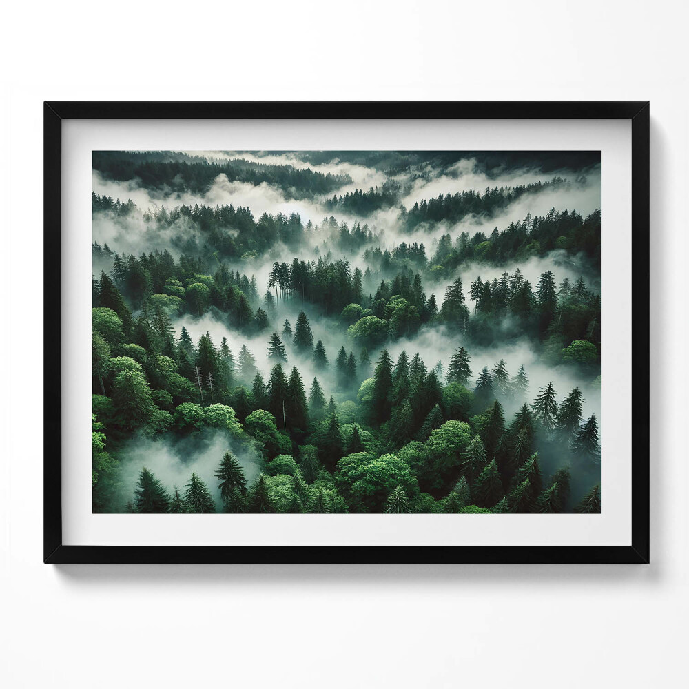 Obraz s rámem Krajina ranní mlhy v lese