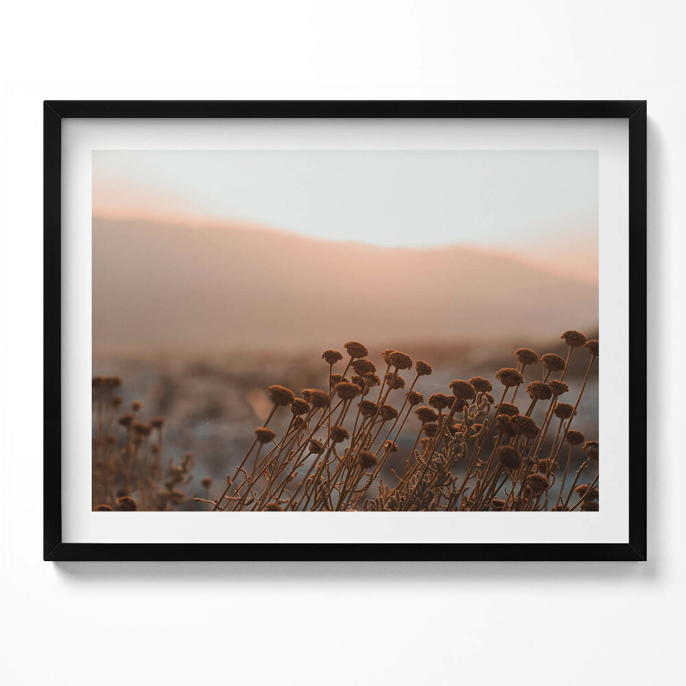 Obraz s rámem Boho romantická tráva krajina