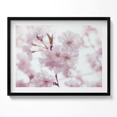 Obraz s rámem Jemné světle růžové květy