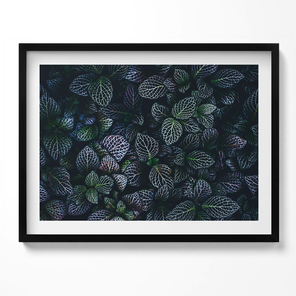 Obraz s rámem Tmavé divoké listy