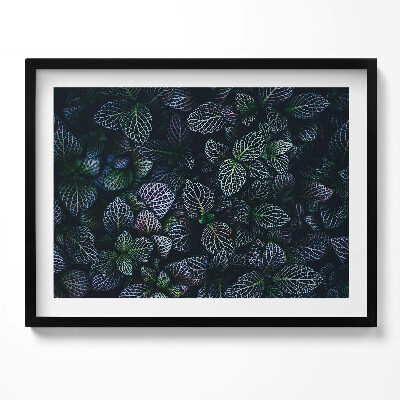 Obraz s rámem Tmavé divoké listy