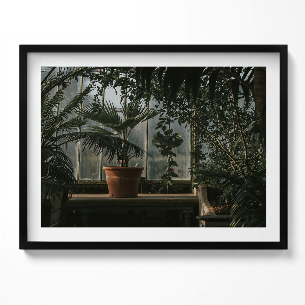 Obraz s rámem Vintage rostliny na okně