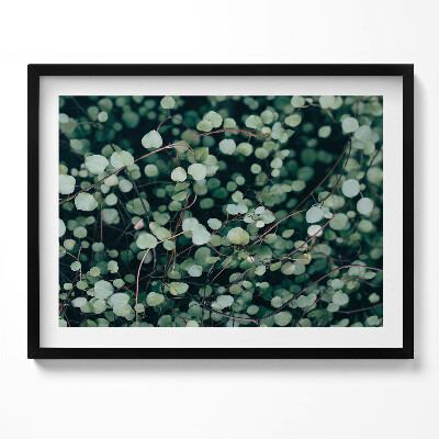 Obraz s rámem Drobné listy rostliny