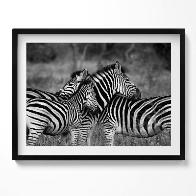 Obraz s rámem Objímání zeber