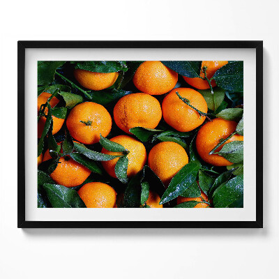 Obraz s rámem Zralé italské pomeranče
