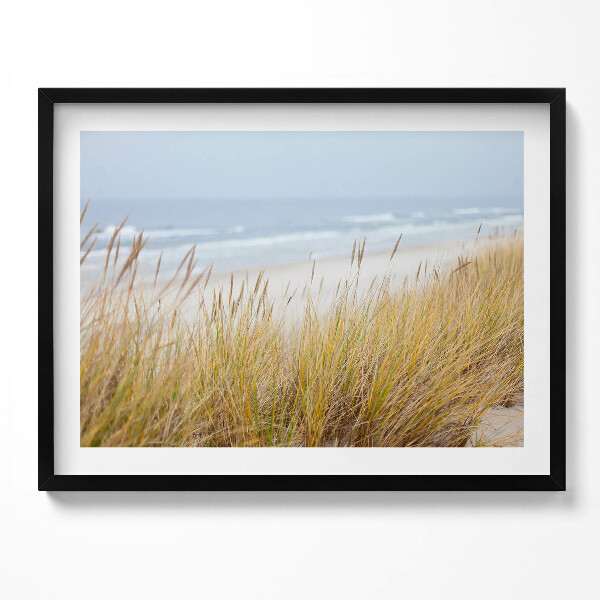 Obraz s rámem Krajina přímořské pláže a trávy